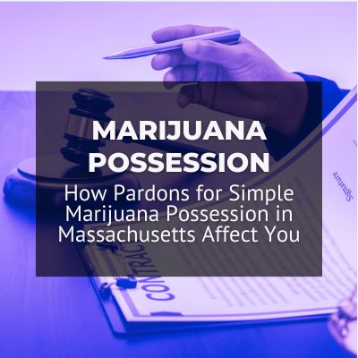 How Pardons for Simple Marijuana Possession in Massachusetts Affect You