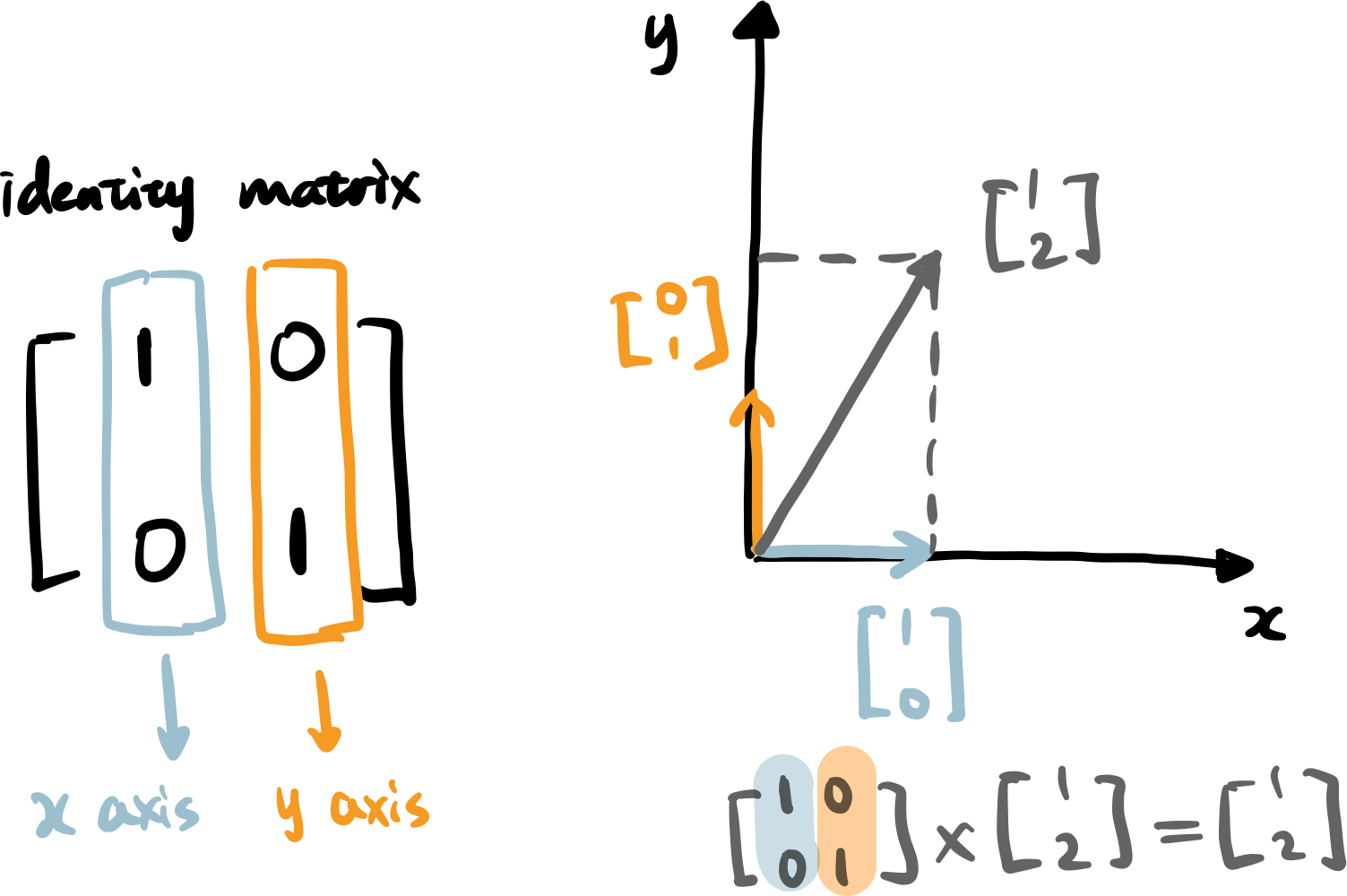 matrix transformation - identity matrix (image by author)