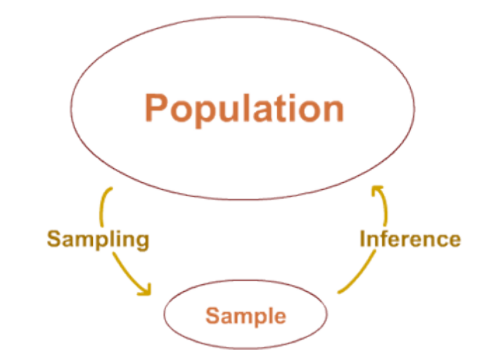 Statistical diagram (Image by author)