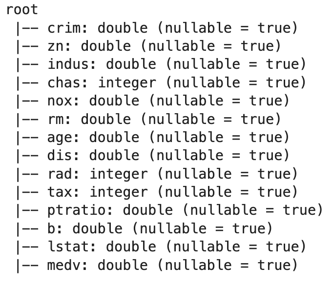 Image 7 - Dataset schema after correct reading (image by author)